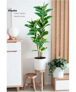 PIANTA DI FICUS ELASTICA IN POLIETILENE CON 54 FOGLIE, 145 CM