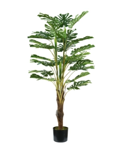 PIANTA MONSTERA IN POLIETILENE CON 24 FOGLIE, 120 CM
