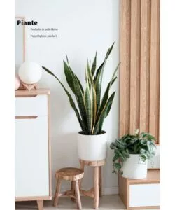 PIANTA DI SANSEVIERIA IN POLIETILENE CON 21 FOGLIE, 75 CM