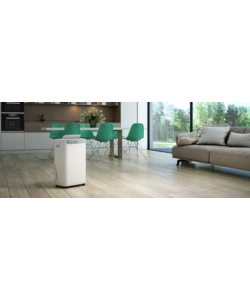 DEUMIFICATORE OLIMPIA SPLENDID "AQUARIA" S1 20 P CON WIFI INTEGRATO