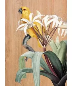 QUADRO IN LEGNO "YELLOW PARROT", 47X67 CM