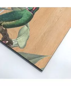 QUADRO IN LEGNO "RED & GREEN PARROT", 47X67 CM