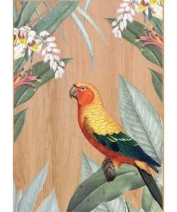 QUADRO IN LEGNO "MULTICOLORS PARROT", 47X67 CM