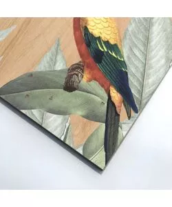 QUADRO IN LEGNO "MULTICOLORS PARROT", 47X67 CM