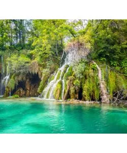 FOTOMURALE ADESIVO "FOREST LAKE" IN PVC, 312X280 CM