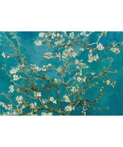 FOTOMURALE ADESIVO "ALMOND BLOSSOM" IN PVC, 312X280 CM