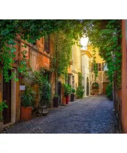 FOTOMURALE ADESIVO "TRASTEVERE" IN PVC, 312X280 CM
