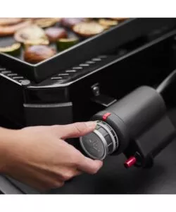 BARBECUE A GAS WEBER "SLATE" 1 BRUCIATORE