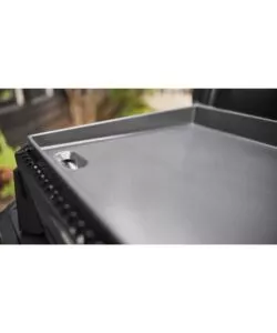 BARBECUE A GAS WEBER "SLATE" 2 BRUCIATORI