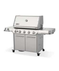 BARBECUE A GAS WEBER "SUMMIT FS38 S" 5 BRUCIATORI