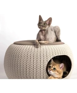 CUCCIA PER CANI E GATTI KETER "COZY" CHIUSA A 2 PIANI IN RESINA COLORE BEIGE, 57X58X24 CM
