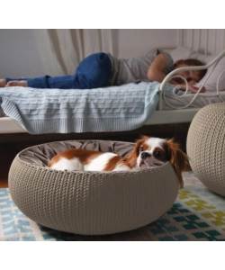 CUCCIA APERTA PER CANI E GATTI KETER "COZY" APERTA IN RESINA COLORE BEIGE, 55X54X19 CM