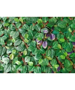 RECINZIONE ARTIFICIALE ESPANDIBILE EUROGARDEN VERDE 90X180 CM