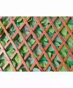 RECINZIONE ARTIFICIALE ESPANDIBILE EUROGARDEN VERDE 90X180 CM