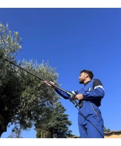 TESTA ABBACCHIATORE OLIVE ELETTRICO A BATTERIA CAMPAGNOLA "MASTER" MOVIMENTO OSCILLATORIO LATERALE 12V
