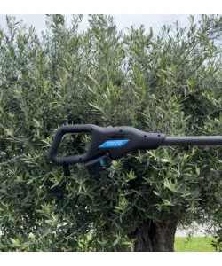 ABBACCHIATORE OLIVE ELETTRICO A BATTERIA CAMPAGNOLA "ALICE STAR ECO PLUG-IN" MOVIMENTO ELLITTICO CONTRAPPOSTO 12V