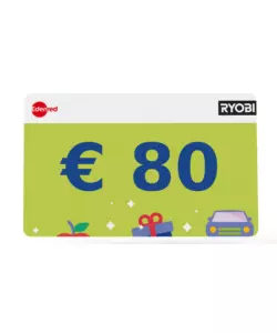 ASPIRAPOLVERE A BATTERIA RYOBI "RSVS18-1C20G" BRUSHLESS CON BATTERIA 18V 2AH