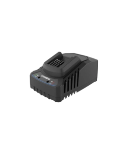 CARICABATTERIE SINGOLO HYUNDAI 20V 2A - COD. 25896