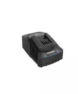 CARICABATTERIE SINGOLO HYUNDAI 20V 2A - COD. 25896