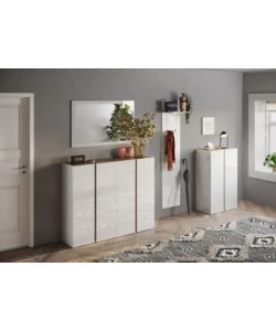 APPENDIABITI A PANNELLO "FRAME" CON 2 GANCI E RIPIANO BIANCO LUCIDO, 40X28X184 CM