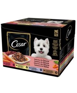 CIBO UMIDO PER CANI CESAR "LE DELIZIE DEL GIORNO" ADULTO DI TUTTE LE TAGLIE CON CARNE E VERDURE 24X100 GR