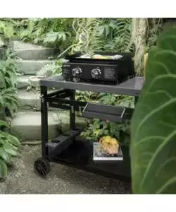 BARBECUE A GAS  DA APPOGGIO 2 BRUCIATORI 45X34 CM