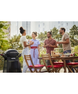 BARBECUE A GAS WEBER "Q3200N+ CON CARRELLO 2 BRUCIATORI