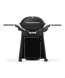BARBECUE A GAS WEBER "Q3200N+ CON CARRELLO 2 BRUCIATORI