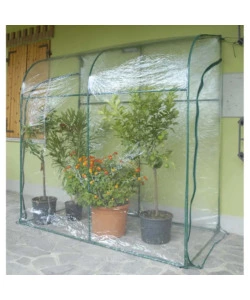 TELO DI RICAMBIO VERDEMAX PER SERRA OLEANDER IN PLASTICA TRASPARENTE 200X100X215 CM