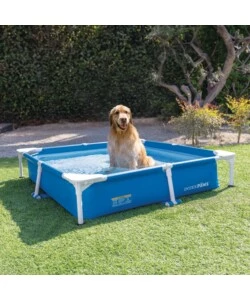 PISCINA QUADRATA PER CANI INTEX BLU 152X152X30 CM - COD. 48402NP
