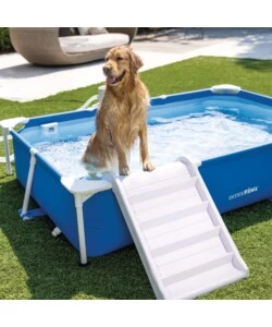 PISCINA FUORI TERRA RETTANGOLARE INTEX PER CANI 229X152X46 CM - COD. 48404NP