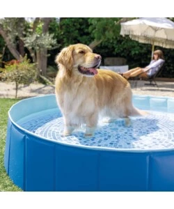 PISCINA FUORI TERRA CON STRUTTURA PIEGHEVOLE RIGIDA PER CANI INTEX AZZURRA 152X152X30 CM - COD. 48400NP