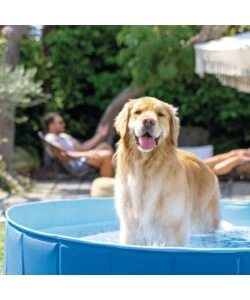 PISCINA FUORI TERRA CON STRUTTURA PIEGHEVOLE RIGIDA PER CANI INTEX AZZURRA 152X152X30 CM - COD. 48400NP