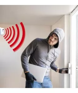 MINI ALLARME VELAM CON RILEVATORE DI PRESENZA E 2 TELECAMERE