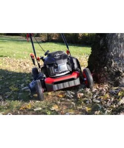 TAGLIAERBA A SCOPPIO A SPINTA VALEX "CROSS COUNTRY" TAGLIO 46CM 4T 196 CC