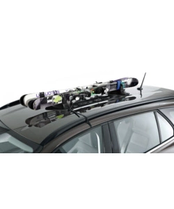 Portasci magnetico Fabbri "Ellisse"