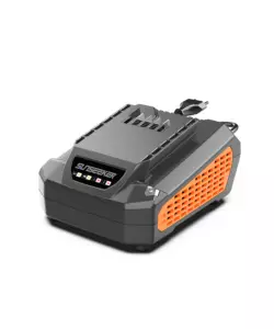 CARICABATTERIE SUNSEEKER "ON BOARD" 60V 2,5A