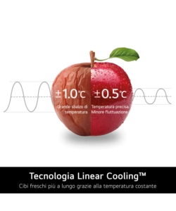 FRIGORIFERO A LIBERA INSTALLAZIONE LG "NATURE FRESH" 344 LT 59,5X68,2,186 CM - COD. GBV21L0EPY