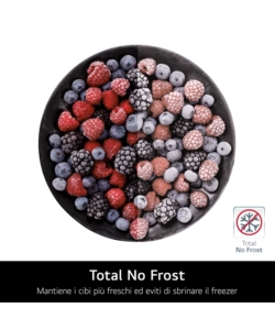 FRIGORIFERO A LIBERA INSTALLAZIONE LG "NATURE FRESH" 344 LT 59,5X68,2,186 CM - COD. GBV21L0EPY