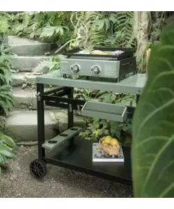 Piastra a gas in acciaio verde 2 bruciatori