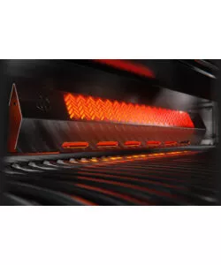 BARBECUE DA INCASSO NAPOLEON "PRESTIGE PRO 500 RB" GRIGIO 5 BRUCIATORI