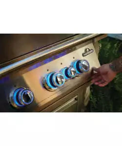 BARBECUE A GAS DA INCASSO NAPOLEON "SERIE 700 32" GRIGIO 5 BRUCIATORI