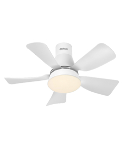 Ventilatore da soffitto "Leste" 21W