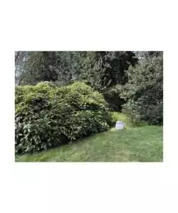 Repellente antizanzare Sandokan "Zatox" 1 lt