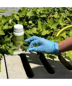 Larvicida antizanzare Sandokan "Actilarv" 100 compresse