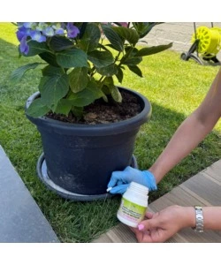 Larvicida antizanzare Sandokan "Actilarv" 100 compresse