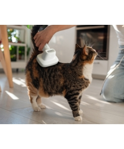 SET TOILETTATURA LIFENAXX "PET CARE SET LX-052" 350 W