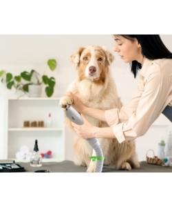 SET TOILETTATURA LIFENAXX "PET CARE SET LX-052" 350 W