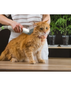 SET TOILETTATURA LIFENAXX "PET CARE SET LX-052" 350 W