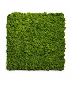 Rivestimento murale fonoassorbente Divina Home in muschio sintetico verde 60x2,1x60 cm 2 pezzi